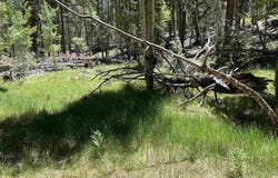 Alpine Lake Way Lot 3 Blk E, Angel Fire, NM 87710-0000