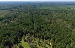 21.79 Acre Homer Ladner Road, Poplarville, MS 39470