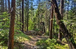 0 Lilac Dr, Arnold, CA 95223
