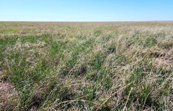 0 County Road N, Eads, CO 81036