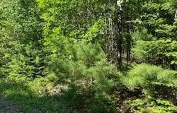 671 Stream Road, Winterport, ME 04496