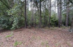 Tract 3 COUNTY ROAD 103, WOODLAND, AL 36280