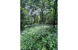 6195 Ashford Circle, Newburgh, IN 47630