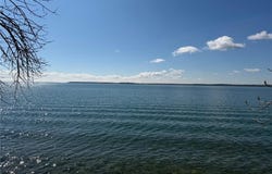 Tbd Pine Point Drive, Walker, MN 56484
