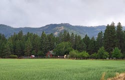 67138 HUNTER RD, Summerville, OR 97876