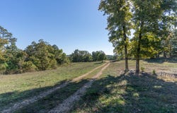 County Road 1130, Willow Springs, MO 65793