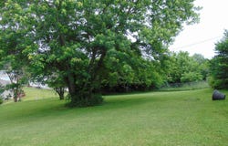 115 Overlook Court, Danville, KY 40422