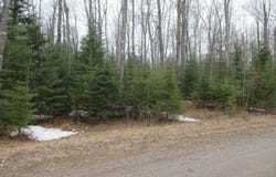 10.4 Acres W Tamarack Lake, Watersmeet, MI 49969