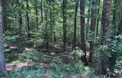 10090 Brazell Road, Chattahoochee Hills, GA 30213
