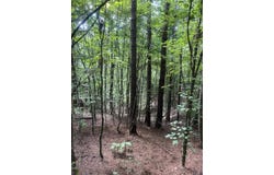 S COUNTY ROAD 437, Ripley, MS 38663
