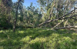 NW 22nd Avenue, Jasper, FL 32052