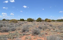 Lot 020d E 24th North Street, Snowflake, AZ 85937