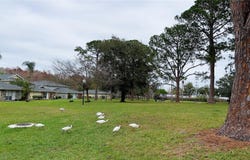 0 WHITE PINE AVENUE, ORLANDO, FL 32811