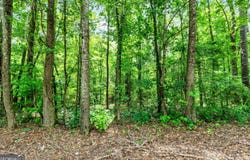 2964 Whitesville, Lagrange, GA 30240
