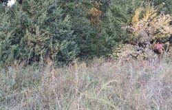 587 W Lakeview Drive, Ironton, MO 63650