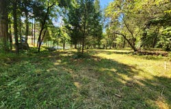 E Shore Drive, Rockwood, TN 37854