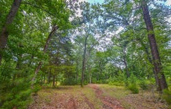 10933 County Road 4233, Frankston, TX 75763