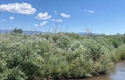 County Rd 540, Gardner, CO 81040