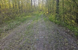 N8951 FOREST EDGE RD, Westboro, WI 54490