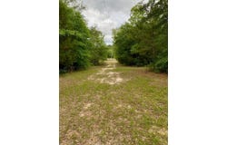 3+/- Acres Grove Rd, Hartford, AL 36344