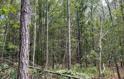 Tbd River Road North, Summit, MS 39666