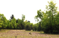 15880 Potter Road, Kaleva, MI 49645