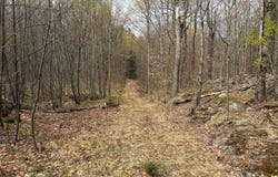 White Road, Dickinson, NY 12980