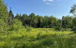 137 Vanishing Lane, Athens, ME 04912
