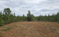 12 Marvin Murphy Road, Ellaville, GA 31806