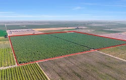 13493 Road 19 1/2, Madera, CA 93637