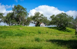 43 ACRES Fm 885, Runge, TX 78151