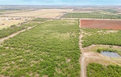 Tbd US HWY 180, Hamlin, TX 79520