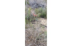 0 Vacant, Newhall, CA 91321