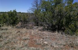 Tbd CR 8026, Concho, AZ 85924