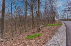 0 Brushy Fork Road, Tell City, IN 47586