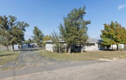 92 Turkey, Harper, TX 78631