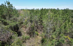 00 Dykestown Rd, Jay, FL 32565