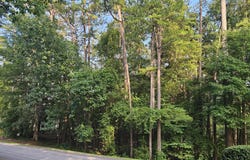 Bl 6 Lot 9 Davis Drive, McCormick, SC 29835