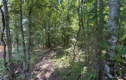 Lot 59 Posy Mountain  DR, Garfield, AR 72732