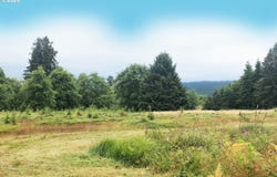 South Valley RD, Naselle, WA 98638