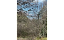 98 Pine Shadows Drive, Dallas, GA 30157