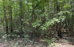 Toney Bay Road, Holly Hill, SC 29059