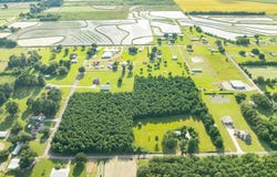 Tract D Birch Drive lot: 36,3, Iota, LA 70543