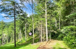 Lot 8 Gem Creek Road, Cullowhee, NC 28723