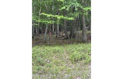 Cardinal Drive lot: 7, Bushkill, PA 18324