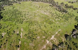 23.2218 Acres Fm 908, Caldwell, TX 77836