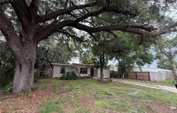 1435 TRIANGLE Drive, MOUNT DORA, FL 32757