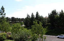 1 Via Abruzzi, Aliso Viejo, CA 92656