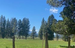 581 Redtail Loop lot: 36, Clio, CA 96106