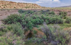 95 Cliff Thorn Rd, Quemado, NM 87829